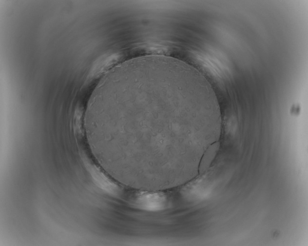 X0000092060185200709121401