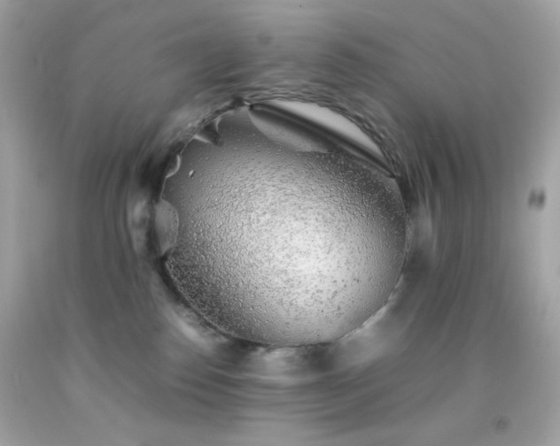 X0000092060186200709121401