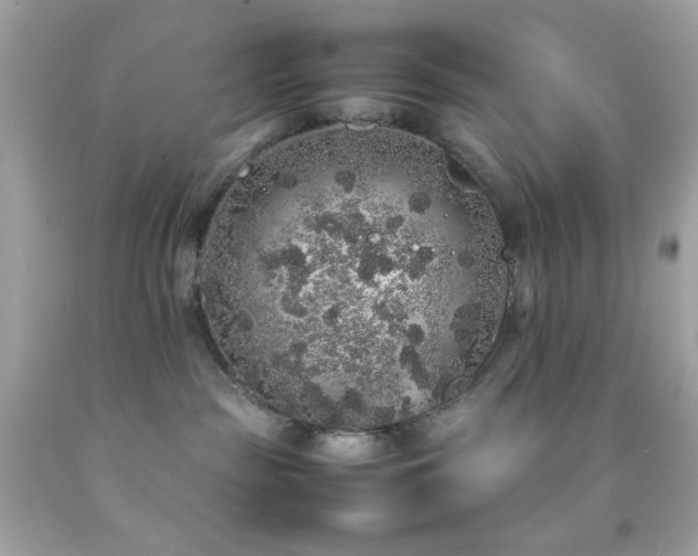 X0000092060189200709121401