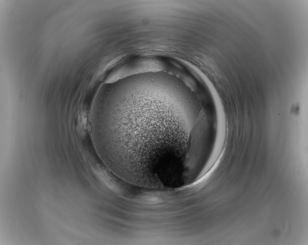 X0000092060190200709121401