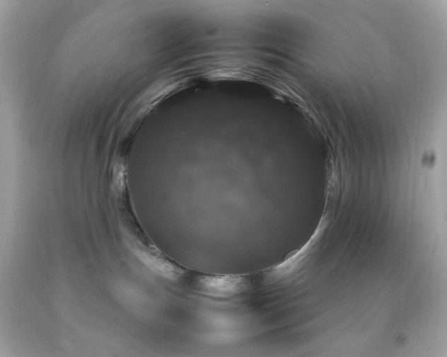 X0000092060191200709121401