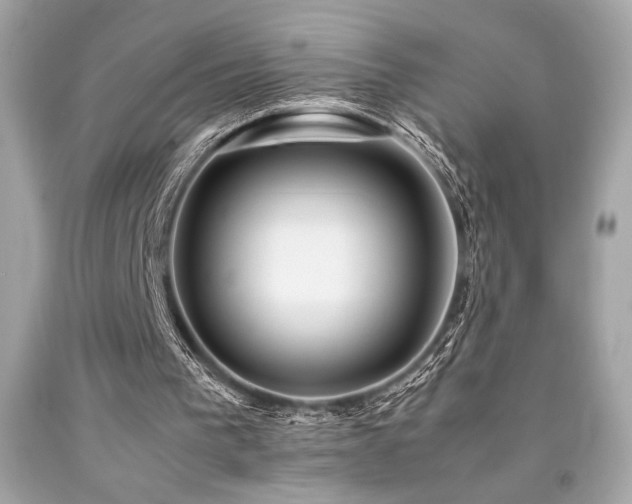 X0000092060193200709121401