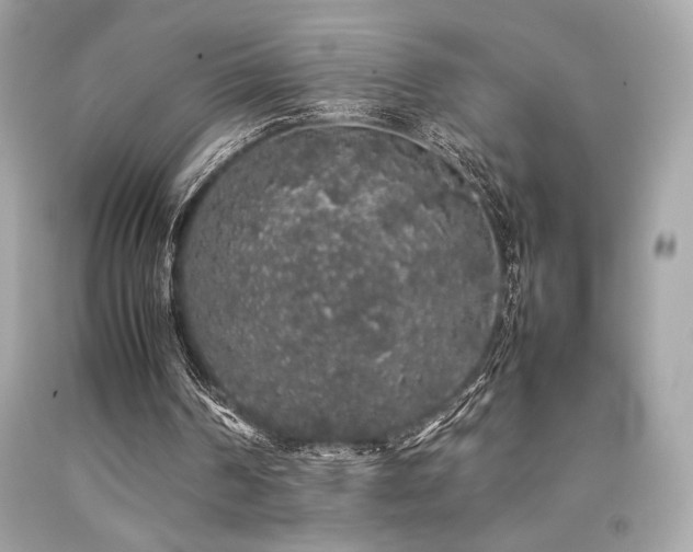 X0000092060194200709121401