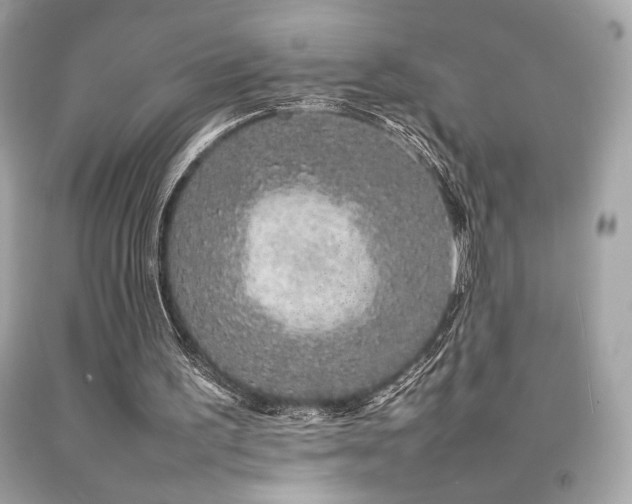 X0000092060195200709121401