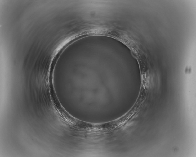 X0000092060196200709121401