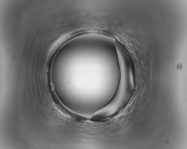 X0000092060197200709121401