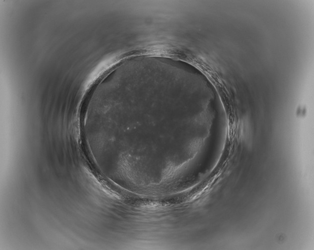 X0000092060198200709121401