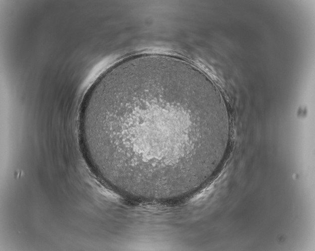 X0000092060199200709121401