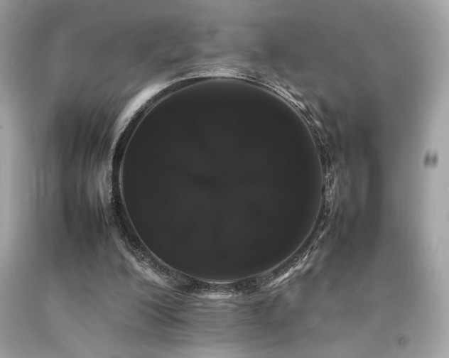 X0000092060200200709121401