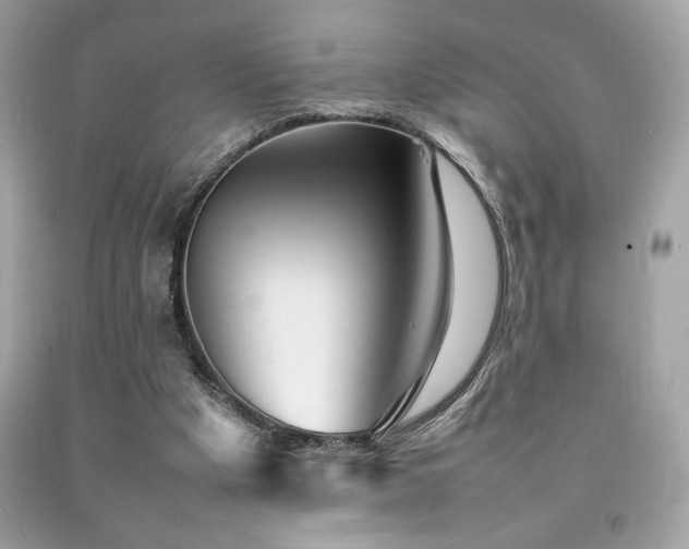 X0000092060201200709121401