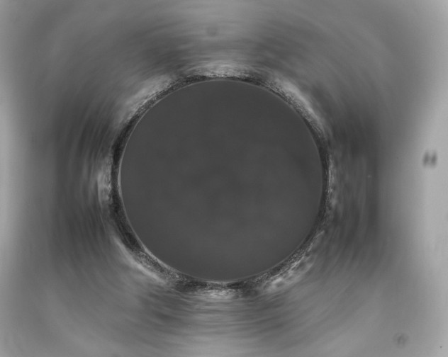 X0000092060202200709121401