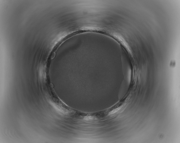 X0000092060204200709121401