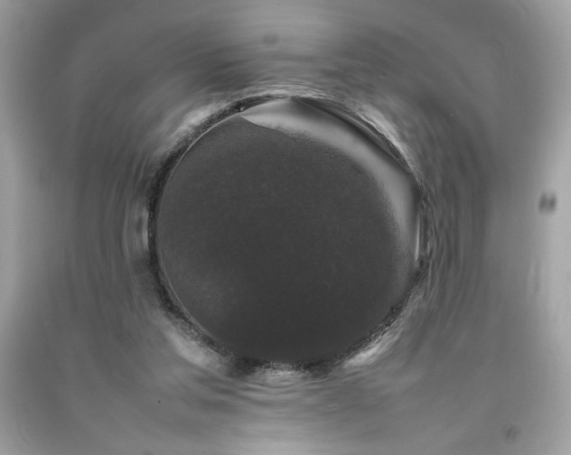 X0000092060205200709121401