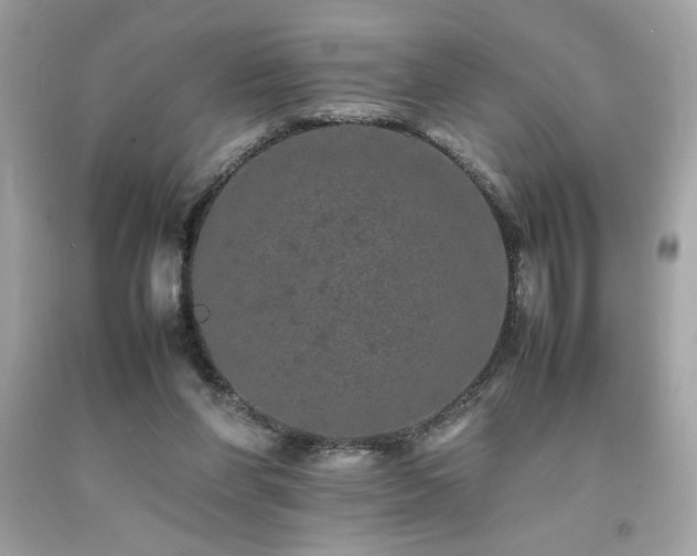 X0000092060206200709121401