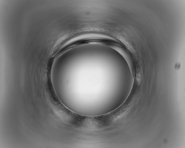 X0000092060207200709121401