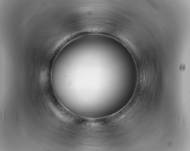 X0000092060208200709121400