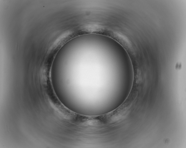 X0000092060210200709121400