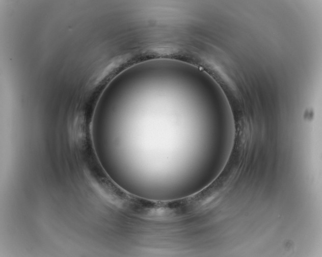 X0000092060212200709121400