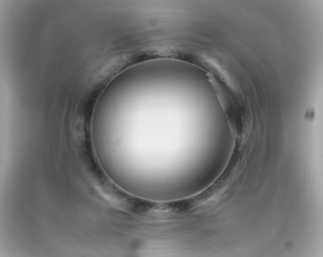 X0000092060213200709121400