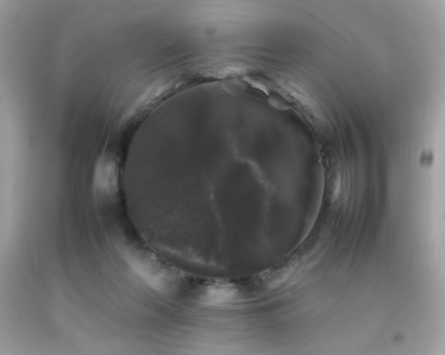 X0000092060214200709121400
