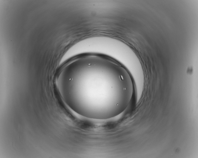 X0000092060219200709121400