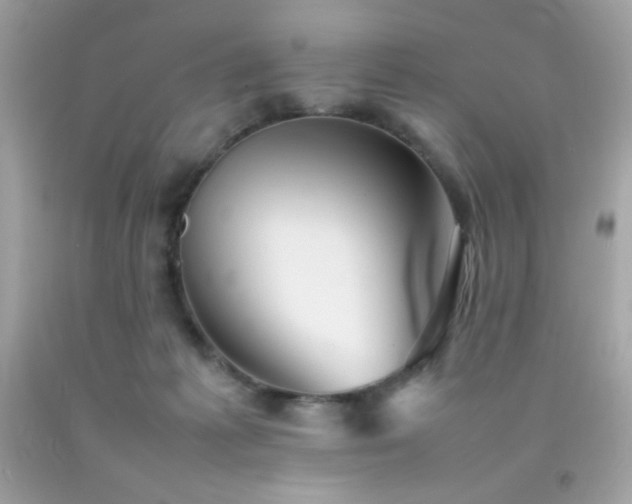 X0000092060221200709121400