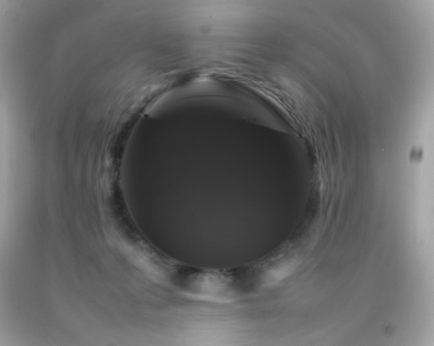 X0000092060223200709121400