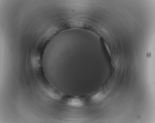 X0000092060224200709121400