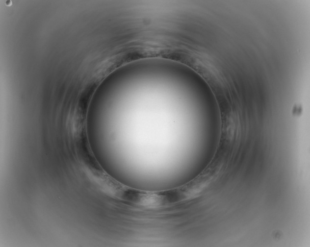 X0000092060226200709121400