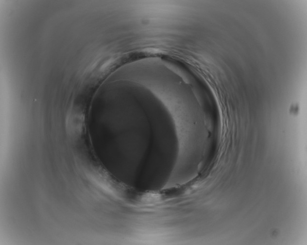 X0000092060227200709121400