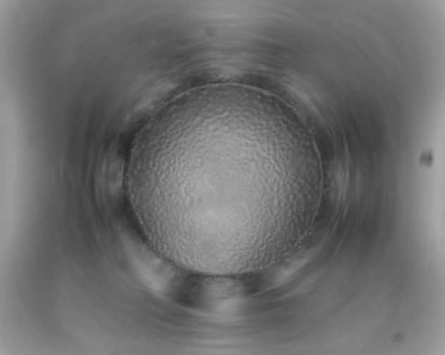 X0000092060230200709121400