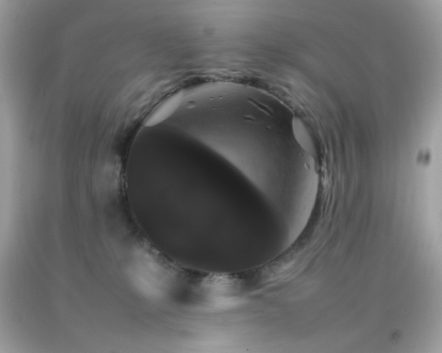 X0000092060231200709121400