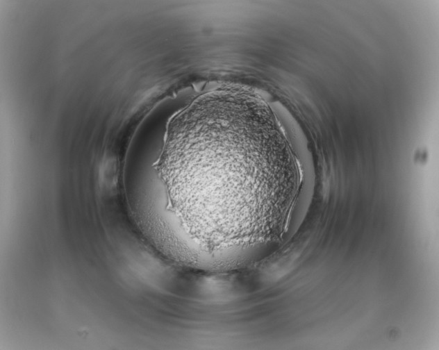 X0000092060232200709121400