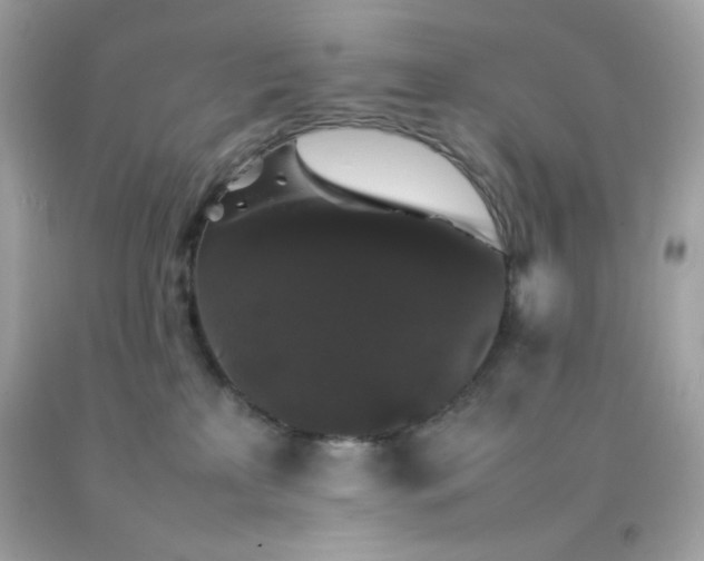 X0000092060233200709121400