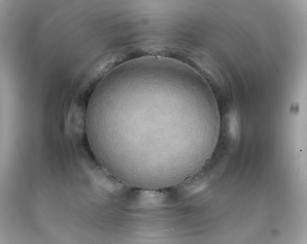 X0000092060234200709121400