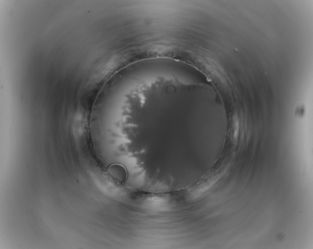 X0000092060236200709121400