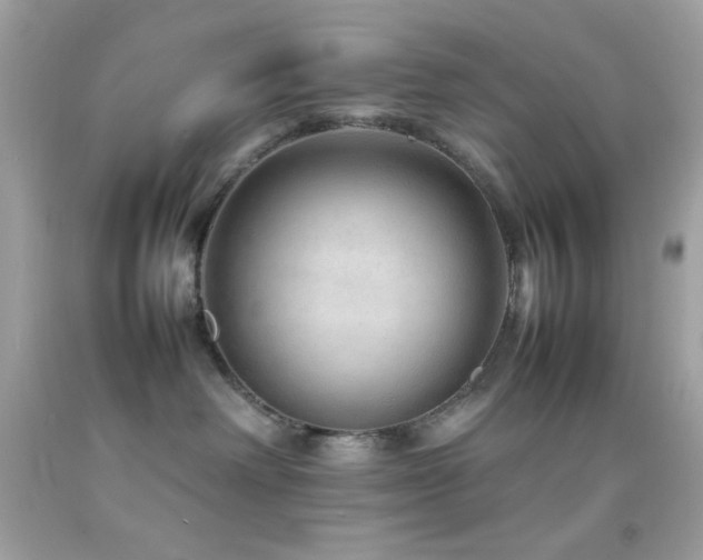 X0000092060238200709121400