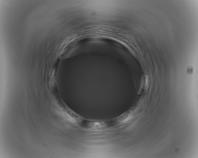 X0000092060239200709121400