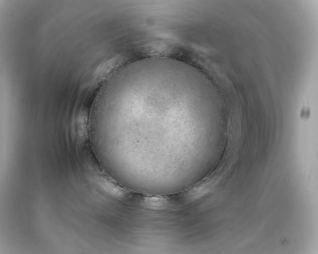 X0000092060240200709121400