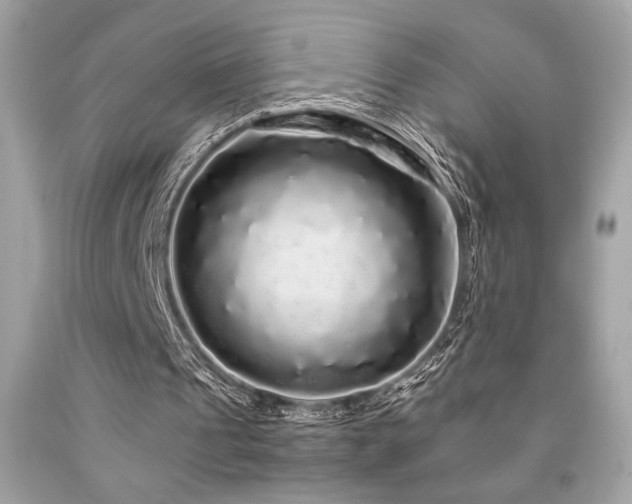 X0000092060241200709121400