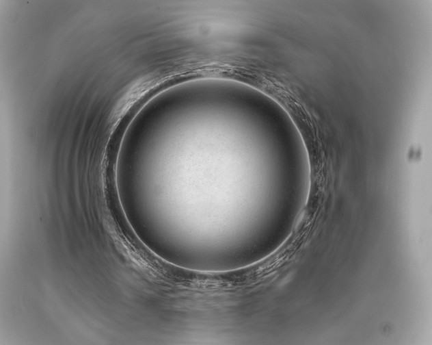 X0000092060242200709121400