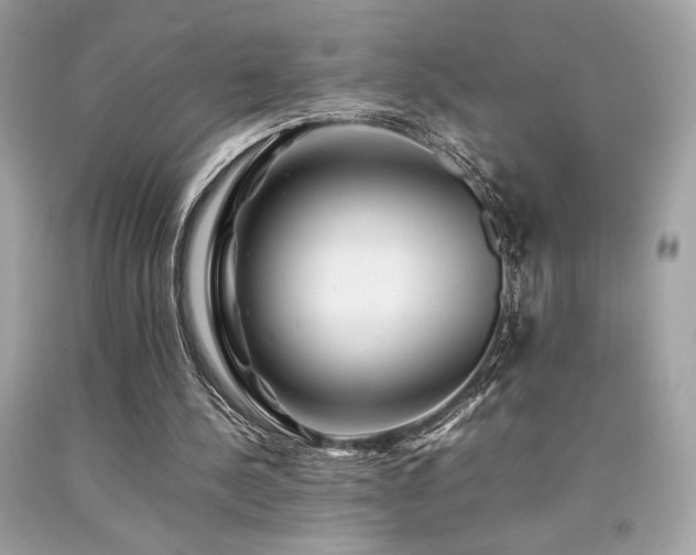 X0000092060244200709121400
