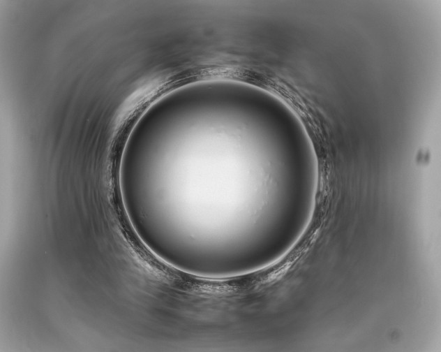 X0000092060245200709121400