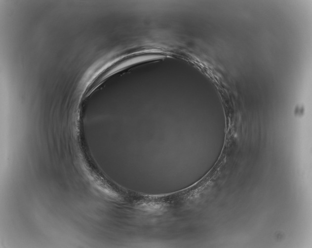 X0000092060247200709121400
