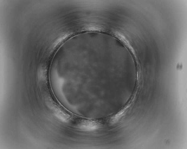 X0000092060249200709121400