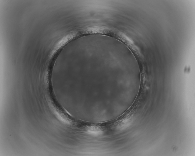 X0000092060250200709121400