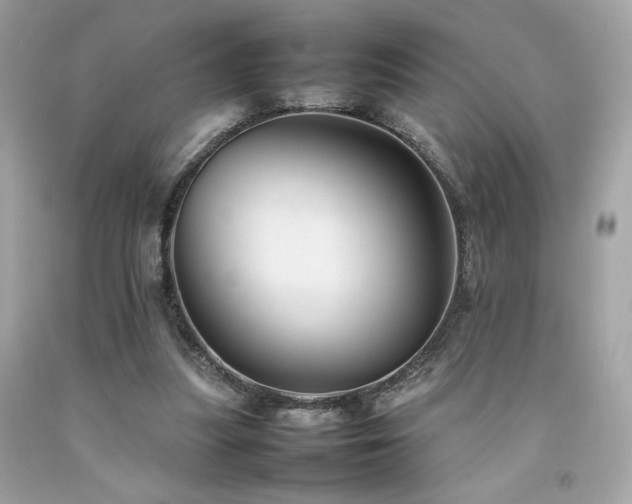 X0000092060251200709121400