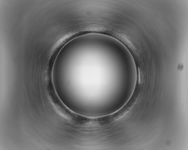 X0000092060252200709121400