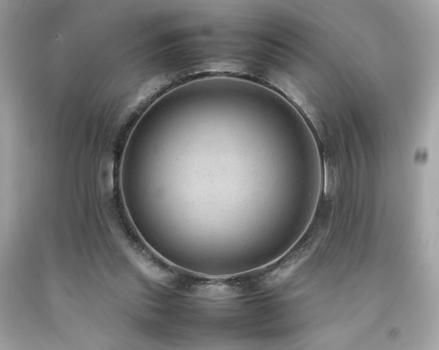 X0000092060253200709121400