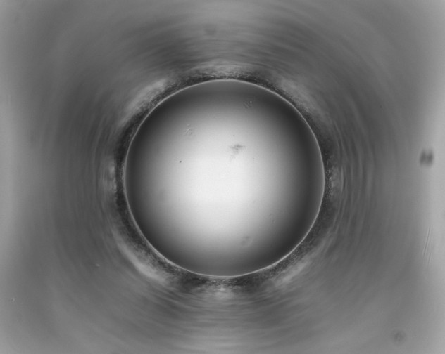 X0000092060254200709121400
